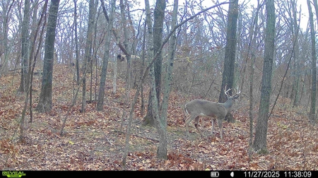 Next Photo