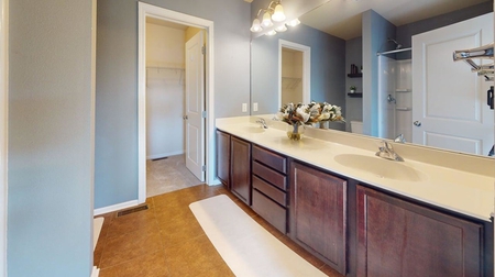 Next Photo