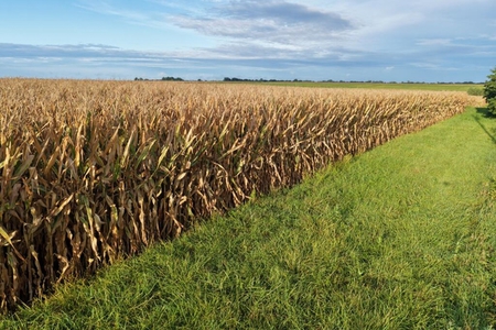 Next Photo